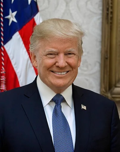 Professional image of Donald Trump - the person this page is dedicated to